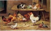 unknow artist Cocks and rabbits 130 oil painting picture wholesale